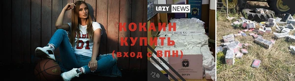 гашик Вязники