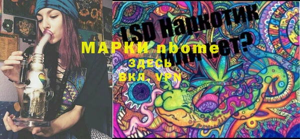гашик Вязники