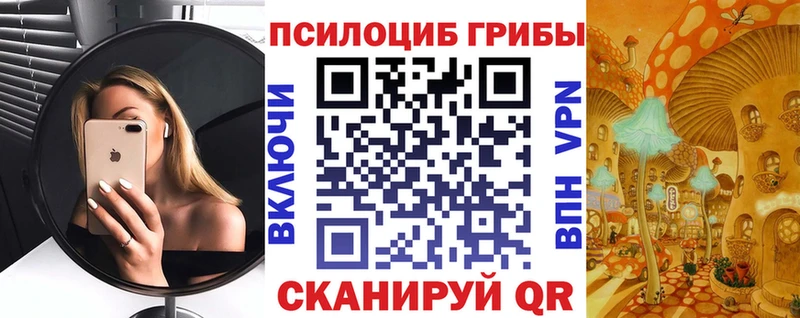 Купить где  Советск  Галлюциногенные грибы ЛСД 
